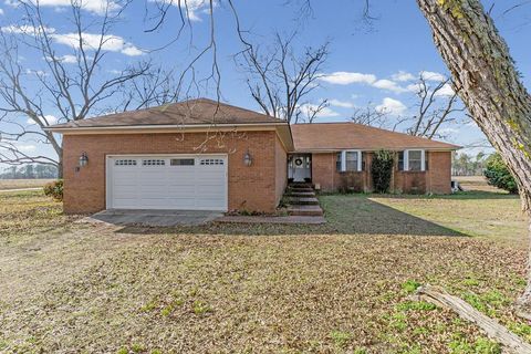 40 The Farm Ln Lenox GA 31637