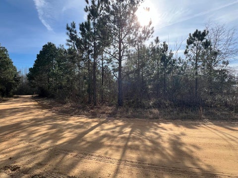 Tiny photo for 0 Thelma Lane, Fitzgerald, GA 31750 (MLS # 141286)