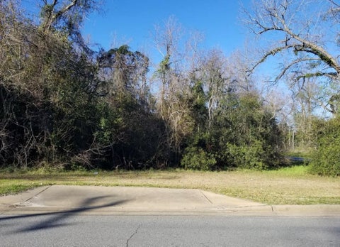 Tiny photo for 307 E Pope Street, Sylvester, GA 31791 (MLS # 137667)