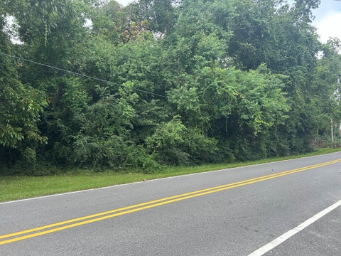 Tiny photo for 307 E Pope Street, Sylvester, GA 31791 (MLS # 137667)