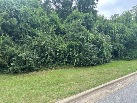 Tiny photo for 307 E Pope Street, Sylvester, GA 31791 (MLS # 137667)