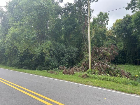 Tiny photo for 307 E Pope Street, Sylvester, GA 31791 (MLS # 137667)