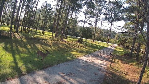 Tiny photo for 340 Joshlyn Rd, Fitzgerald, GA 31750 (MLS # 142916)