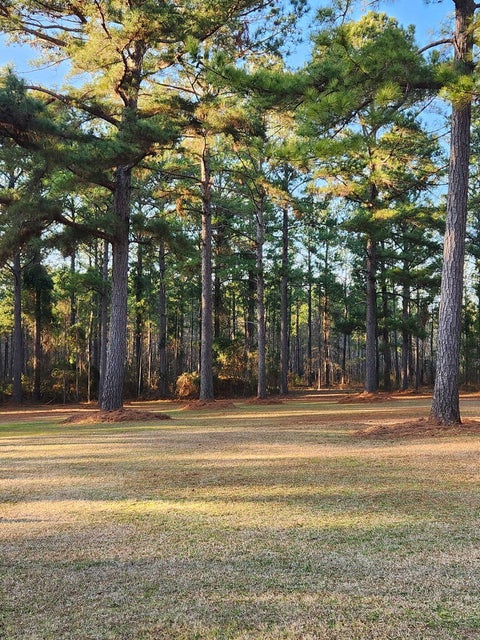 Tiny photo for 340 Joshlyn Rd, Fitzgerald, GA 31750 (MLS # 142916)