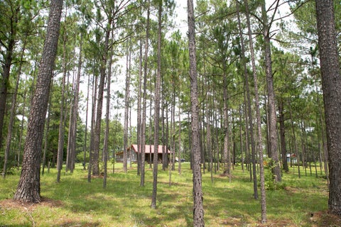Tiny photo for 340 Joshlyn Rd, Fitzgerald, GA 31750 (MLS # 142916)
