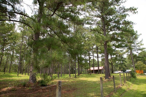 Tiny photo for 340 Joshlyn Rd, Fitzgerald, GA 31750 (MLS # 142916)