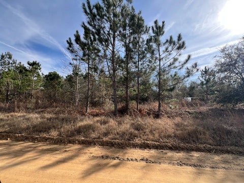 Tiny photo for 0 Thelma Lane, Fitzgerald, GA 31750 (MLS # 141289)