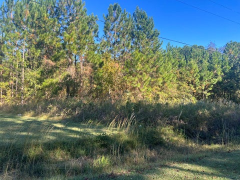 Tiny photo for 0 E Monroe Ave, Ashburn, GA 31714 (MLS # 139135)