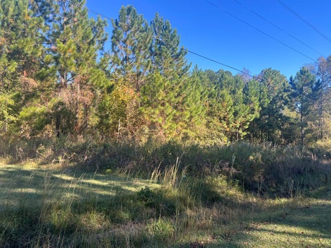 Tiny photo for 0 E Monroe Ave, Ashburn, GA 31714 (MLS # 139135)