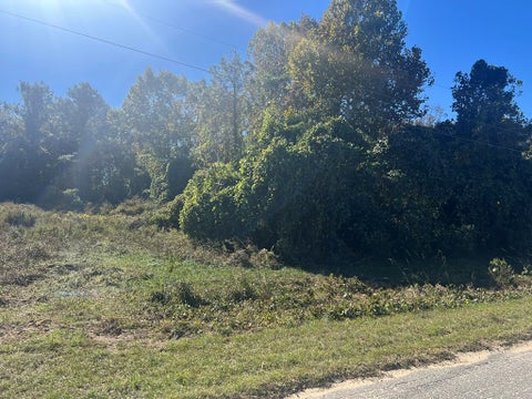 Tiny photo for 0 E Monroe Ave, Ashburn, GA 31714 (MLS # 139135)