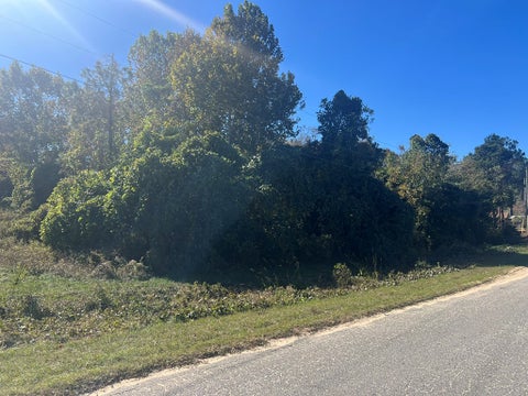 Tiny photo for 0 E Monroe Ave, Ashburn, GA 31714 (MLS # 139135)