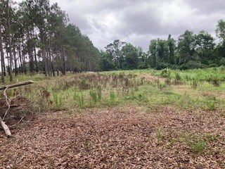1928 Holt Road