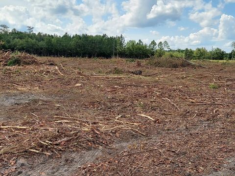 Tract 6 Jehu Tyson Road Tifton GA 31794