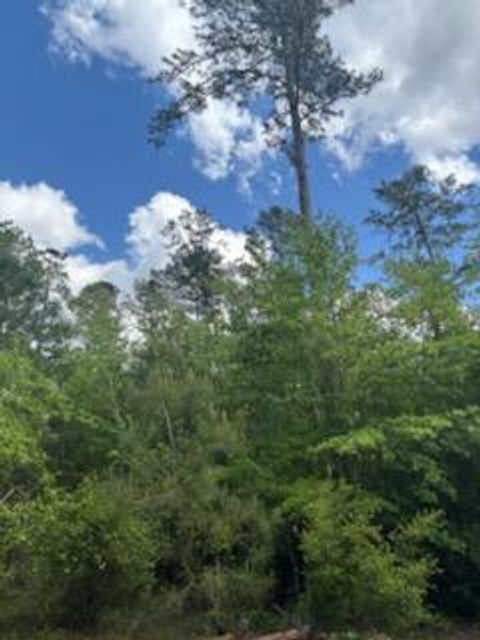 Photo of 0 New Bethel Church Rd, Fitzgerald, GA 31750 (MLS # 138360)