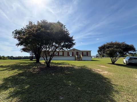 Photo of 672 Brock Road, Arabi, GA 31712 (MLS # 138903)