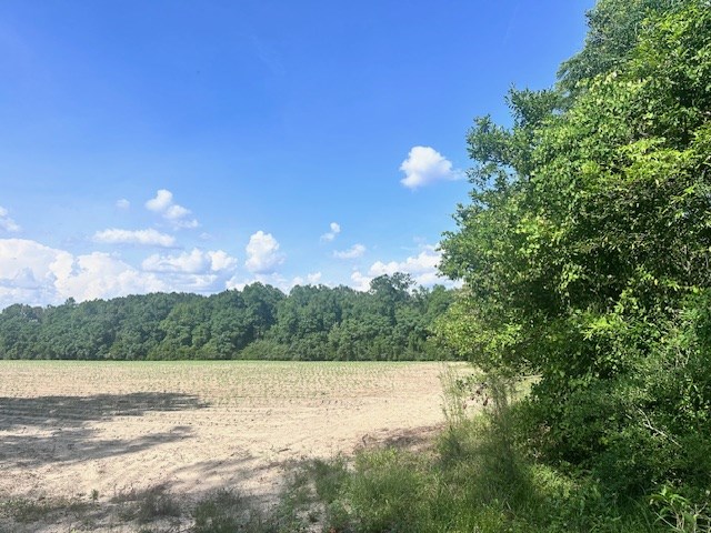 33.7 ac Highway 41 N