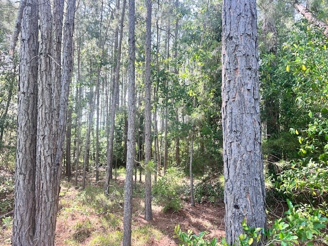 33.7 ac Highway 41 N