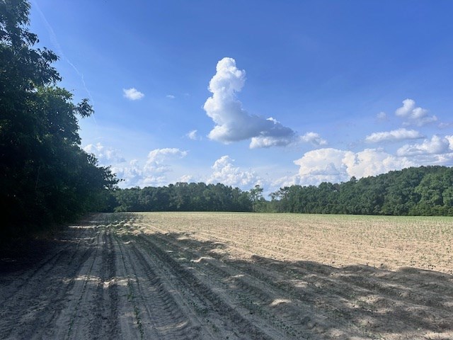 33.7 ac Highway 41 N