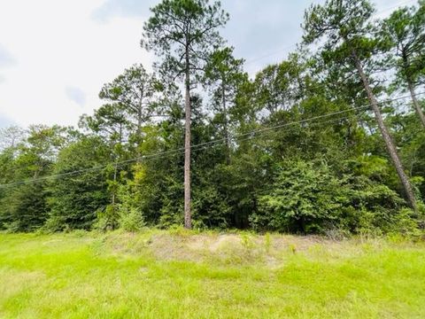 Tract 3 Highway 319 N Tifton GA 31794