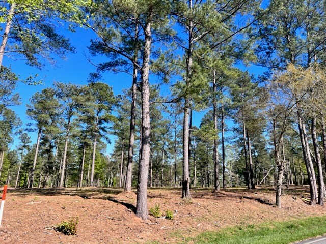 Tract 2 Whiddon Mill Road