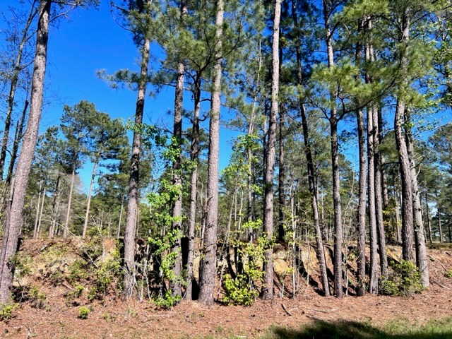 Tract 2 Whiddon Mill Road