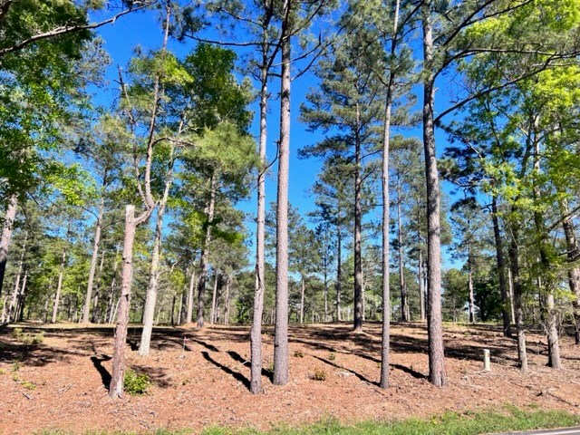 Tract 2 Whiddon Mill Road