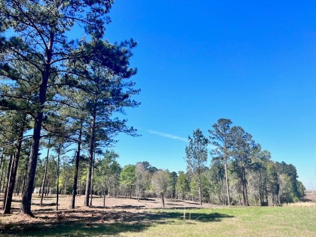 Tract 2 Whiddon Mill Road