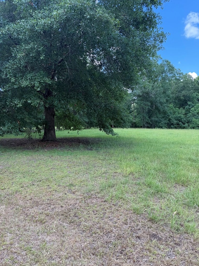 106 Goldenwood Dr