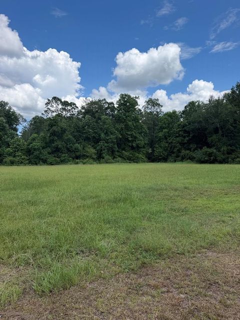 Photo of 106 Goldenwood Dr, Sylvester, GA 31791 (MLS # 142892)
