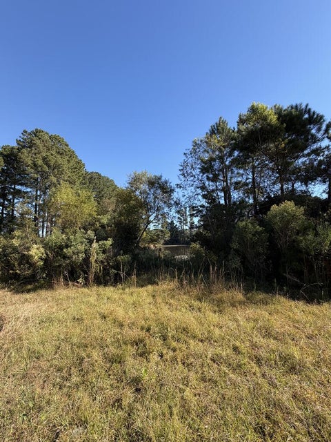 Tiny photo for 114 Nancy Lane, Rebecca, GA 31750 (MLS # 143091)