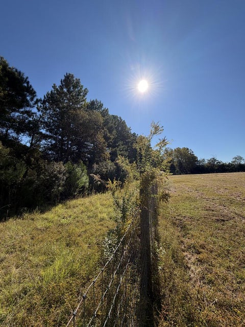 Tiny photo for 114 Nancy Lane, Rebecca, GA 31750 (MLS # 143091)