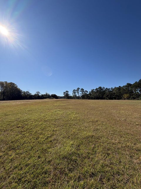 Tiny photo for 114 Nancy Lane, Rebecca, GA 31750 (MLS # 143091)