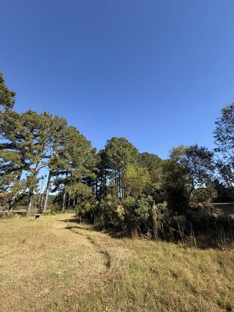 Tiny photo for 114 Nancy Lane, Rebecca, GA 31750 (MLS # 143091)