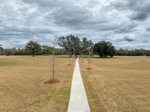 Tiny photo for 8774 Antioch Rd, Adel, GA 31620 (MLS # 142818)