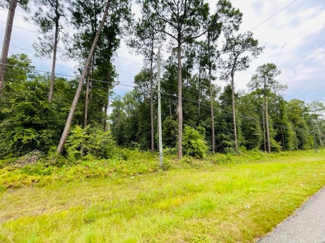 Tract 1 Highway 319 N