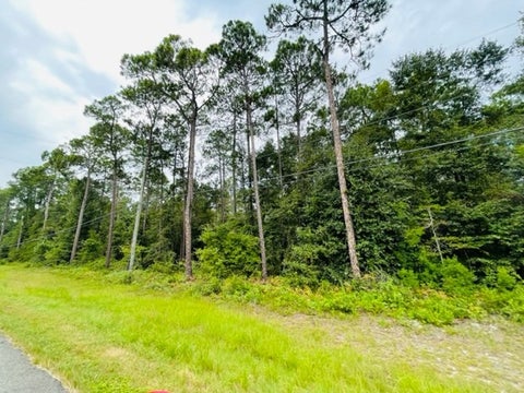 Tiny photo for 1 Highway 319 N, Tifton, GA 31794 (MLS # 134338)