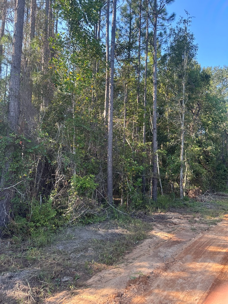 0 Sparrow Rd