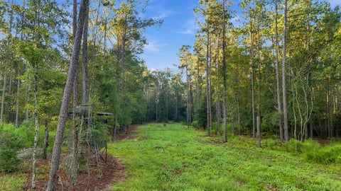Tiny photo for 509 Eisenhower RD, Rebecca, GA 31783 (MLS # 143144)