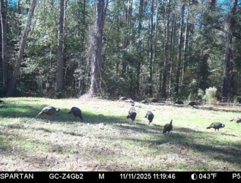 Tiny photo for 509 Eisenhower RD, Rebecca, GA 31783 (MLS # 143144)