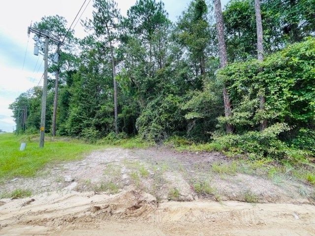 Tract 4 Harold Tyson Road