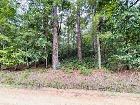 Tiny photo for 4 Harold Tyson Road, Tifton, GA 31794 (MLS # 134342)