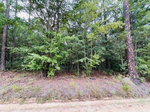Tiny photo for 4 Harold Tyson Road, Tifton, GA 31794 (MLS # 134342)