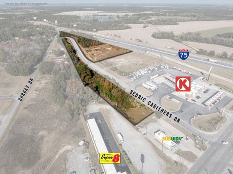 Tiny photo for 0 E Washington Avenue, Ashburn, GA 31714 (MLS # 139076)