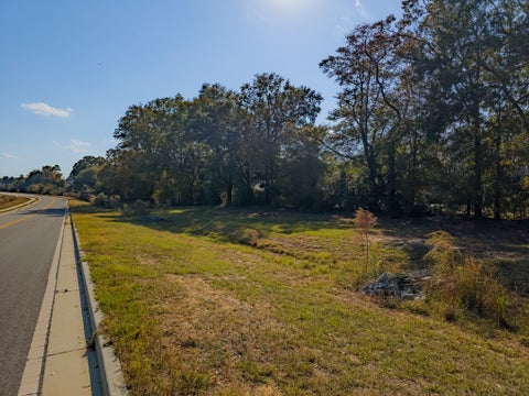 Tiny photo for 0 E Washington Avenue, Ashburn, GA 31714 (MLS # 139076)