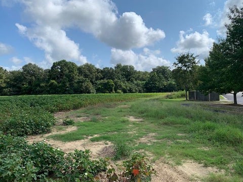 Tiny photo for 0 N Gorday, Ashburn, GA 31714 (MLS # 132987)