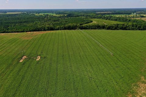 0 Daisy Road Fitzgerald GA 31750