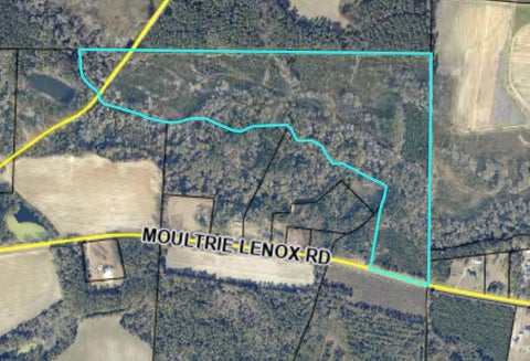 Photo of 0 Moultrie Lenox Rd, Lenox, GA 31637 (MLS # 142744)