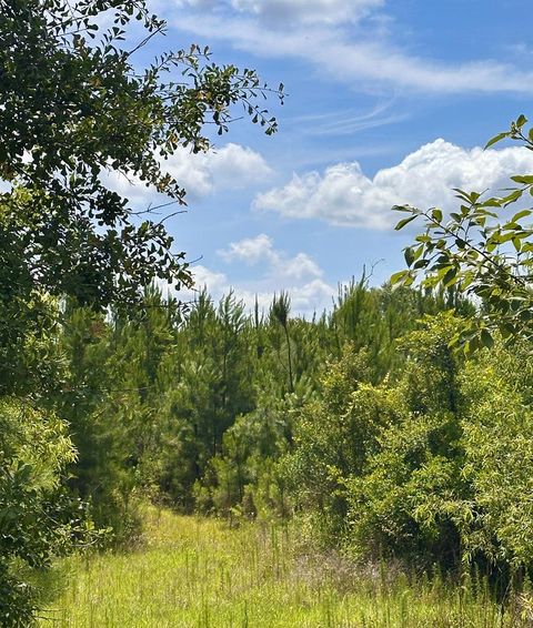 Photo of 0 Moultrie Lenox Rd, Lenox, GA 31637 (MLS # 142744)