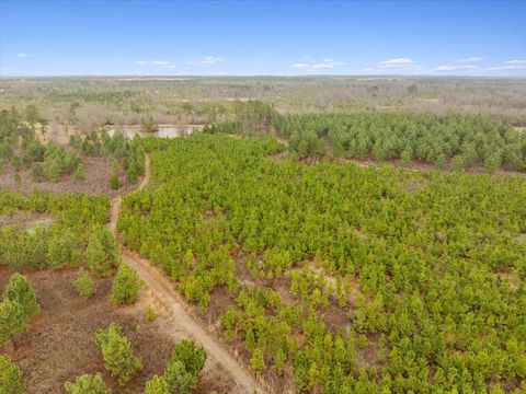 0 Blue Springs Rd Sylvester GA 31791