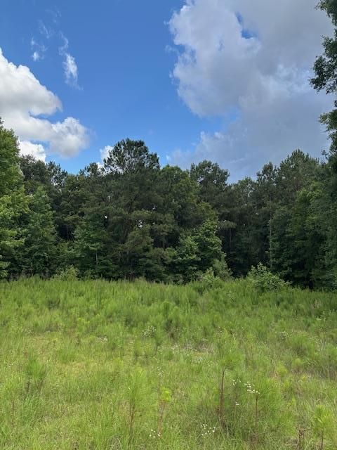 205 Worthwood Road Albany GA 31705